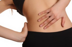 bobrek-tasi-biosan-300x197